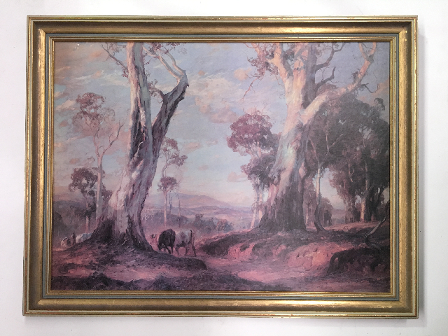 ARTWORK, Landscape (Large) - Cows w Gum Trees